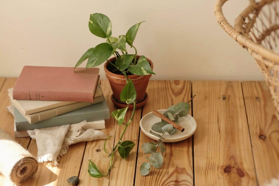 DIY Book Vase | Budget-Friendly Faux Tulip Decor | Cozy Home Shelf Styling Idea