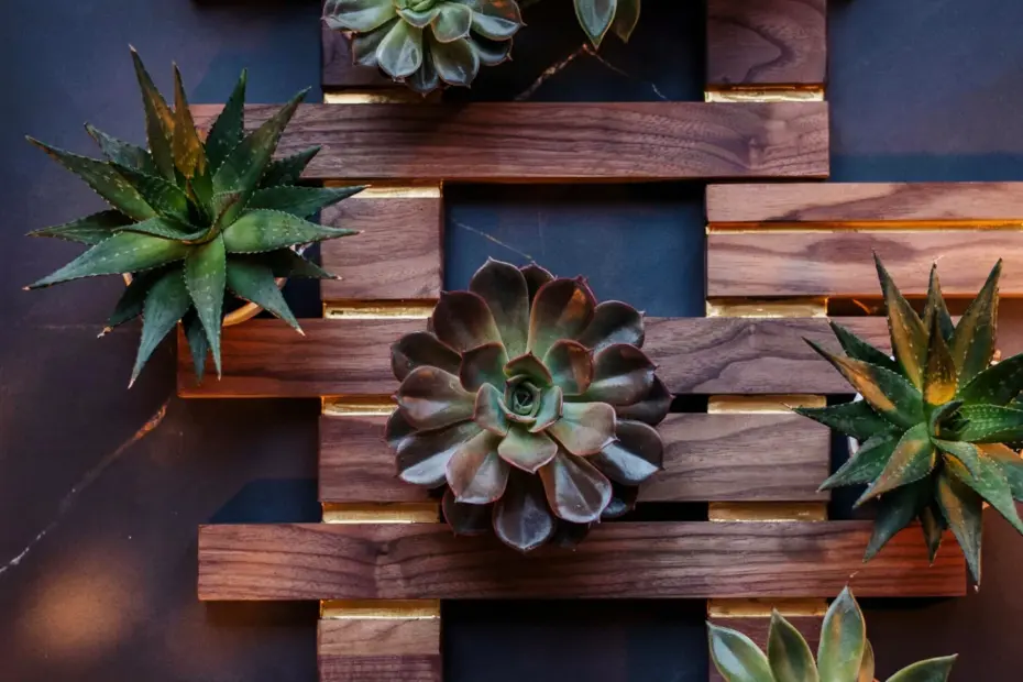 Dollar Store Wall Decor Under $15 | Easy DIY with Moss or Polaroids | Budget Home Ideas